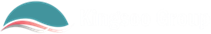 Kingsoo Group logo